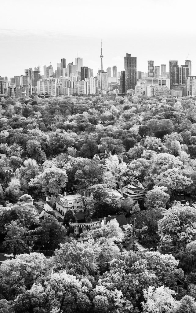 TO trees