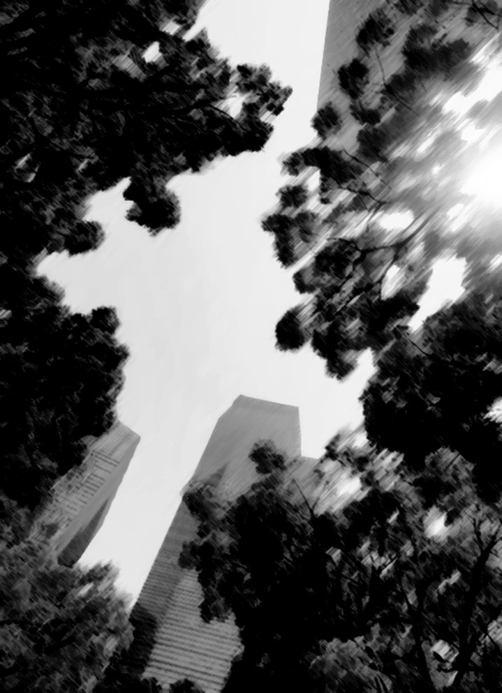 tree urban